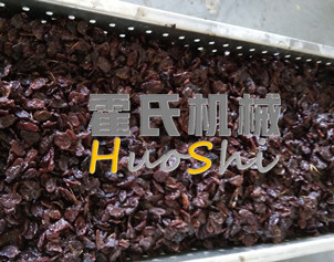 蒸女貞子、黃精體驗(yàn)